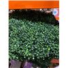 Image 3 : Golden Select Artificial Hedge Wall Panel With Lights, 1 m x 1 m, Model 1773676