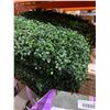 Image 3 : Golden Select Artificial Hedge Wall Panel With Lights, 1 m x 1 m, Model 1773676