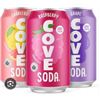 Image 1 : Cove Soda 15 Pack of 355ml Cans – Cherry, Grapefruit, Raspberry