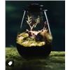 Image 1 : Fanon UFO Micro Landscape Lighting Glass Terrarium