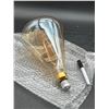 Image 1 : Large Edison-Style Filament Light Bulb With E27 Base