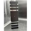 Image 1 : Wall-Mounted Vertical Light Fixture With Black and Clear Accents