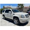 Image 2 : CADI ESCALADE 2007 T-DONATION