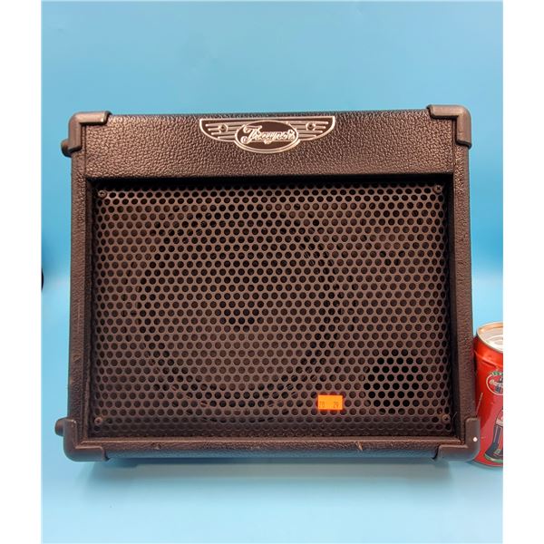 Traynor TVM10 Travelmate Amplifier