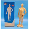 Image 1 : Chinese Acupuncture Doll
