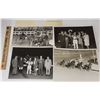 Image 1 : Harness Racing, Horses Of Winchester Stud Farm, 14 Photos