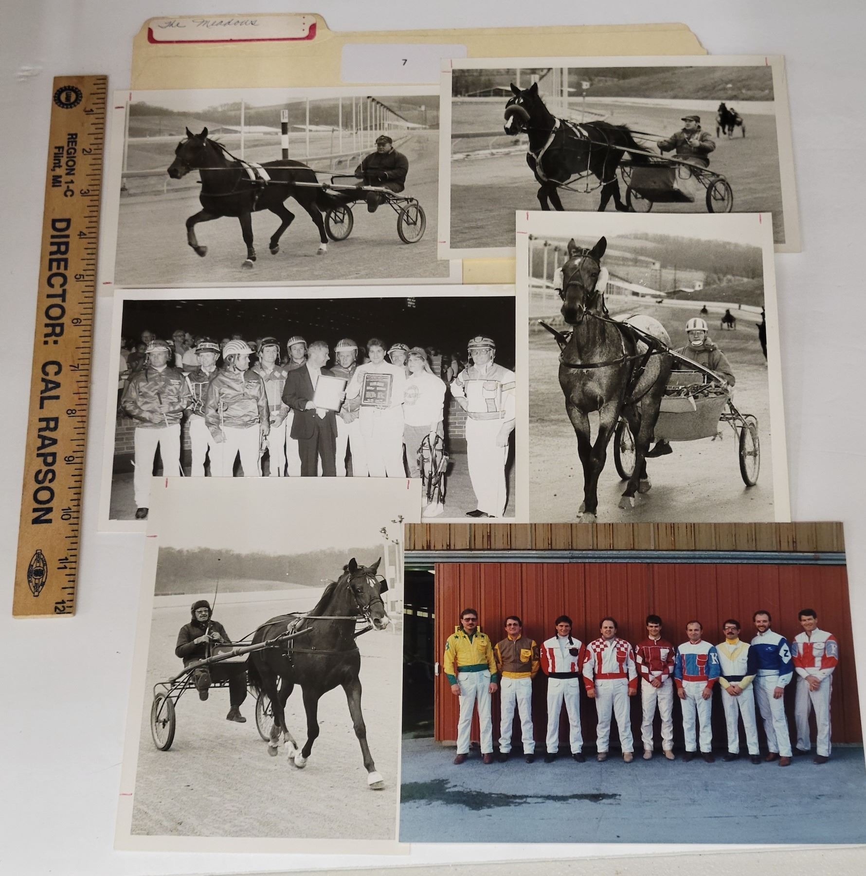 Robin Meadows Racers Harness Racing, Racers And Horses Of The Meadows Racetrack, Meadow ...