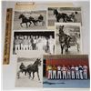 Image 1 : Harness Racing, Racers And Horses Of The Meadows Racetrack, Meadow Lands, Pennsylvania, 11 Photos