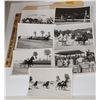 Image 1 : Harness Racing, Featuring Horse Darn Safe, 74 Photos