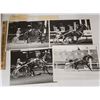 Image 1 : Harness Racing, Featuring Horse Pacific, 8 Photos