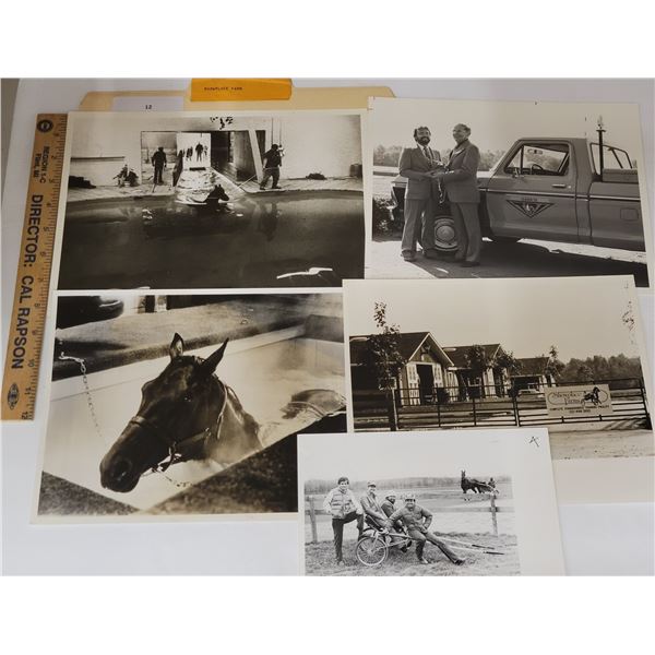 Harness Racing, Horses Of Showplace Farm, 12 Photos