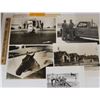 Image 1 : Harness Racing, Horses Of Showplace Farm, 12 Photos