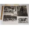 Image 3 : Harness Racing, Prima Farms, 8 Photos