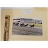 Image 4 : Harness Racing, Northfield Park, Cleveland, Ohio, 28 Photos
