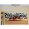 Image 1 : Harness Racing, Featuring Horse Steinaur, 1 Photo