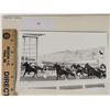 Image 1 : Harness Racing, Featuring Horse Sterling's Speedin, Driver Herve Filion, Monticello Raceway, 1 Photo