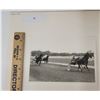 Image 1 : Harness Racing, Featuring Horse Steady Quick, 1 Photo