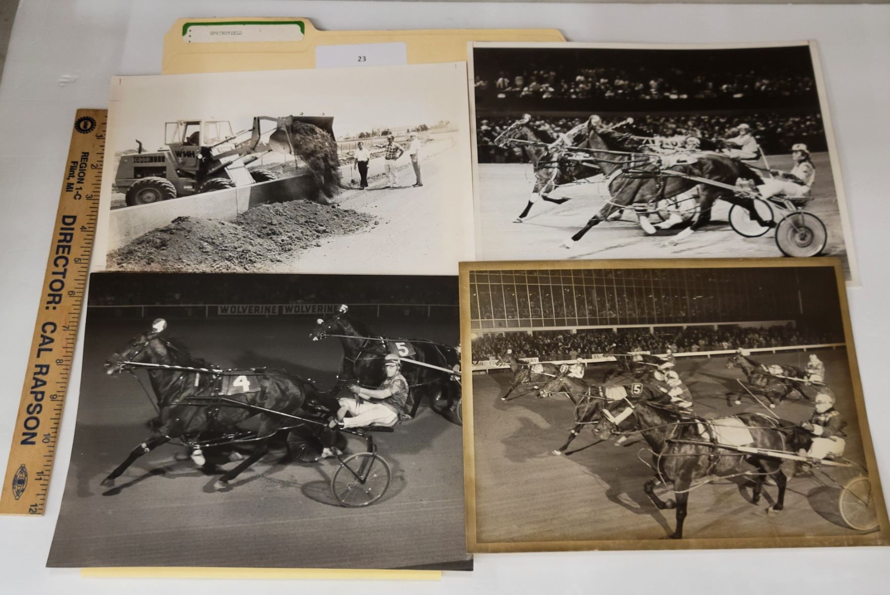 Harness Racing, Featuring Horse Springfield, 11 Photos