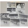 Image 1 : Harness Racing, Featuring Horse Nugget Lobell, Approx. 10 Photos