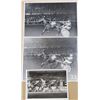 Image 1 : Harness Racing, Featuring Horse Rapid Lobell, 3 Photos