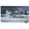 Image 1 : Harness Racing, Featuring Horse Nestor Hanover, 1 Photo