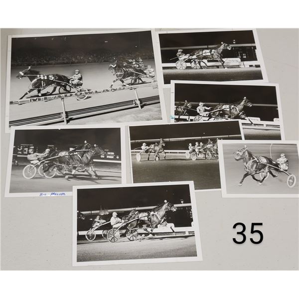 Harness Racing, Featuring Horse Bio Prelude, 7 Photos