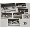 Image 1 : Harness Racing, Featuring Horse Bio Prelude, 7 Photos