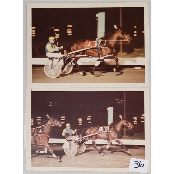 Harness Racing, Featuring Horse Bionic Collins, Driver Dick Kent, 2 Photos
