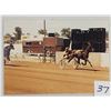 Image 1 : Harness Racing, Featuring Horse Range Kerry, 1 Photo