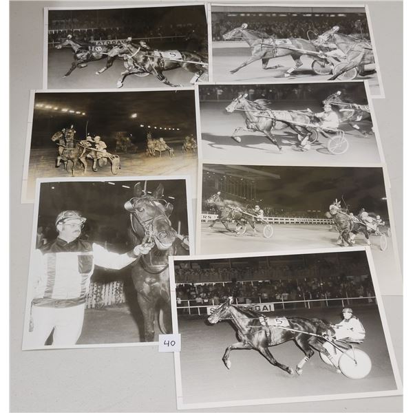 Harness Racing, Featuring Horse Birchwood Buster, 7 Photos