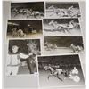 Image 1 : Harness Racing, Featuring Horse Birchwood Buster, 7 Photos