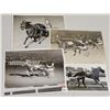 Image 1 : Harness Racing, Featuring Nevele Dream, 4 Photos
