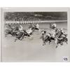 Image 1 : Harness Racing, Featuring Horse Neutrino, Driver Low Williams, 1 Photo