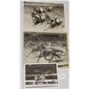 Image 1 : Harness Racing, Featuring Horse Nevelaire, 3 Photos