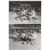 Image 1 : Harness Racing, Featuring Horse Tarpo Tona, Driver Chris Boring, 2 Photos