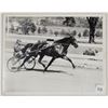 Image 1 : Harness Racing, Featuring Horse Tassel Hanover, 1 Photo