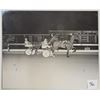 Image 1 : Harness Racing, Featuring Horse Nevele Frank, Driver Glen Johnson, Fairmont Park, 1 Photo