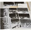 Image 1 : Harness Racing, Featuring Horse Calvert, 10 Photos