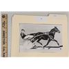 Image 1 : Harness Racing, Featuring Horse Tangens, 1 Photo