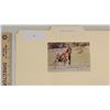 Image 1 : Harness Racing, Featuring Horse Tarport Delmonica, 1 Photo