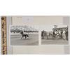 Image 1 : Harness Racing, Featuring Horse Quick Mouse, Driver Ben Webster, 2 Photos