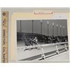 Image 1 : Harness Racing, Featuring Horse Grand Duke, 1 Photo