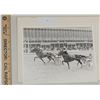 Image 1 : Harness Racing, Featuring Horse Grand Chico, Windsor Raceway, 1 Photo