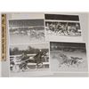 Image 1 : Harness Racing, Featuring Horse Grady Supreme, 4 Photos
