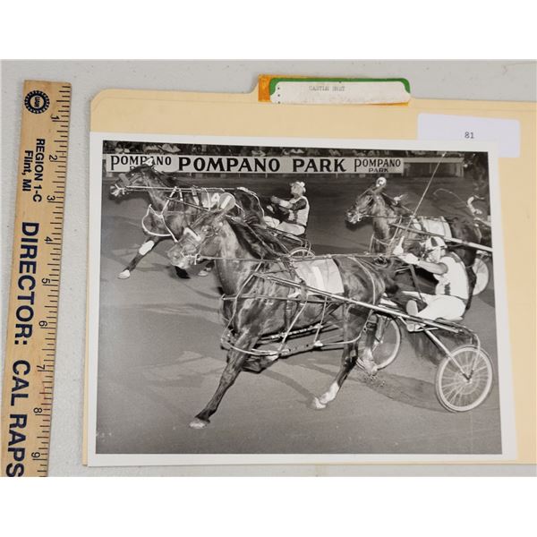 Harness Racing, Featuring Horse Castle Bret, Driver Billy Herman, Pompano Park, 1 Photo