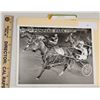 Image 1 : Harness Racing, Featuring Horse Castle Bret, Driver Billy Herman, Pompano Park, 1 Photo