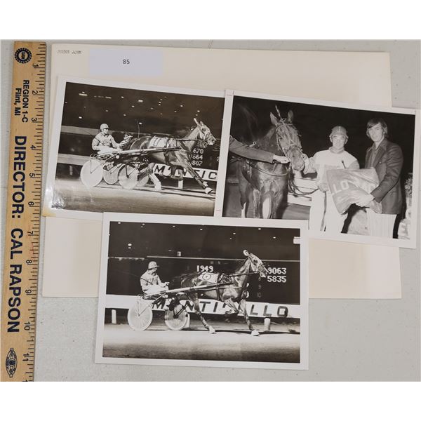 Harness Racing, Featuring Horse Johns John, 3 Photos