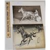 Image 1 : Harness Racing, Featuring Horse John V, 2 Photos
