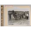 Image 1 : Harness Racing, Featuring Horse Tiki Claire, 1 Photo