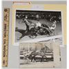 Image 1 : Harness Racing, Featuring Horse Time To Cash, 2 Photos